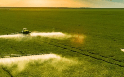 AI in Agribusiness
